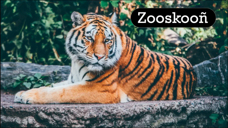 zooskooñ